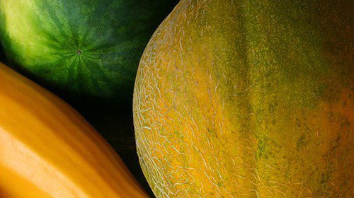 Melon